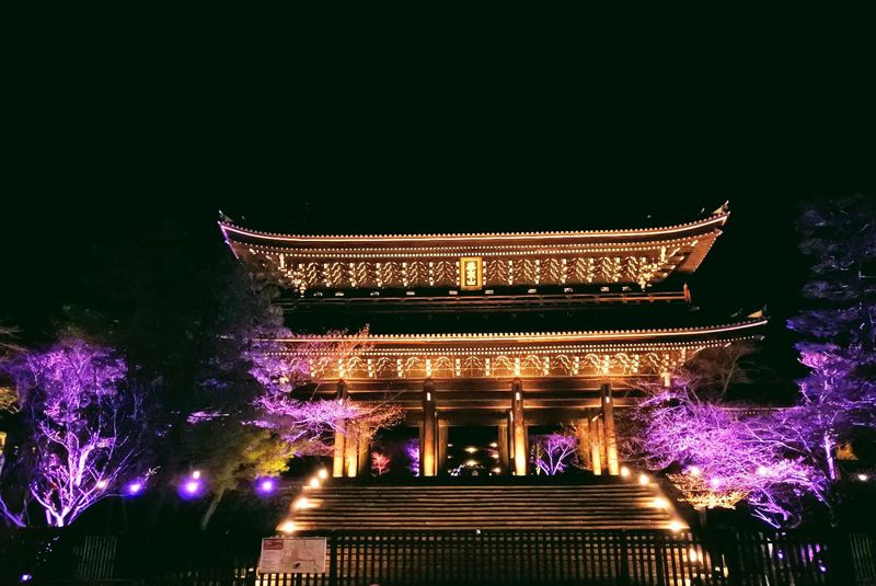 桜が主役！京都・知恩院 2019年春のライトアップ | 京都府 | トラベルjp 旅行ガイド