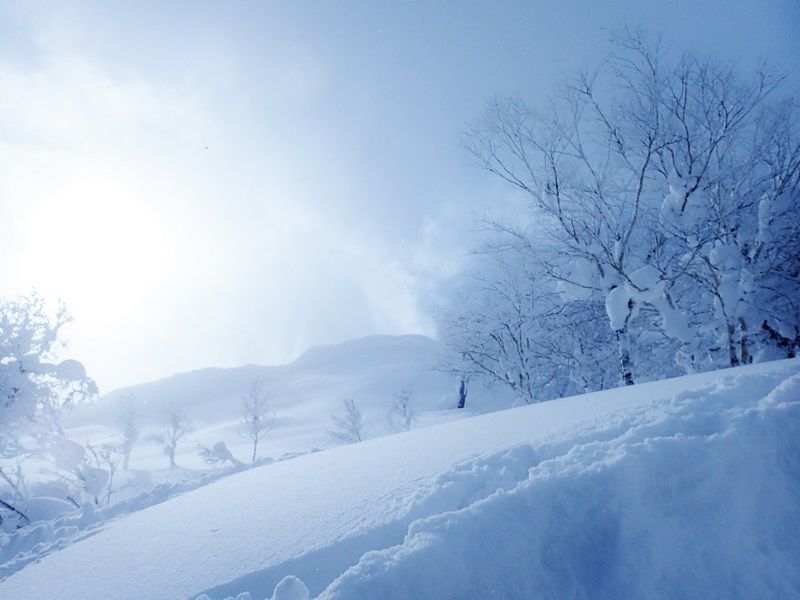 銀世界を歩く！冬の北海道・定山渓「美比内山」で雪山登山 | 北海道