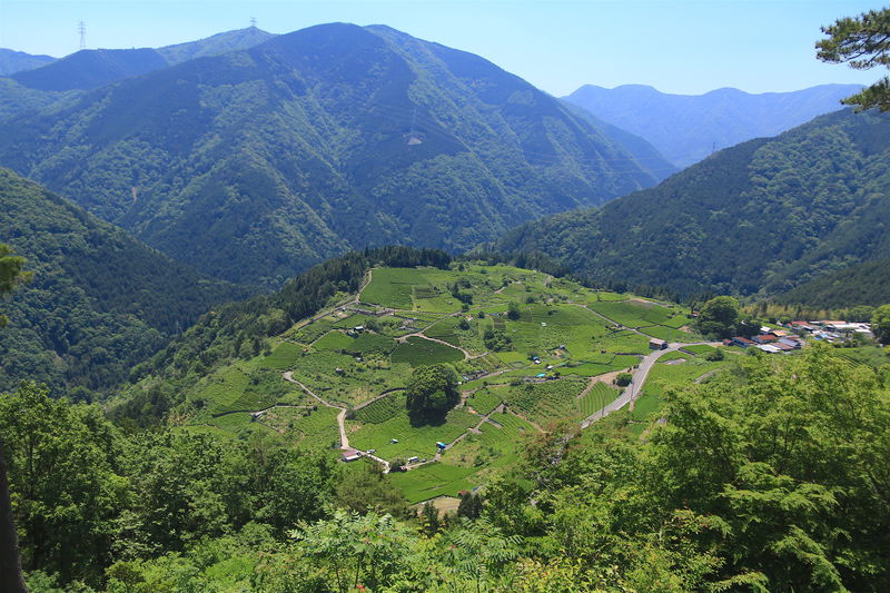 緑あふれる絶景を巡る 初夏の伊吹山を満喫する秘境ドライブ旅 滋賀県 Lineトラベルjp 旅行ガイド