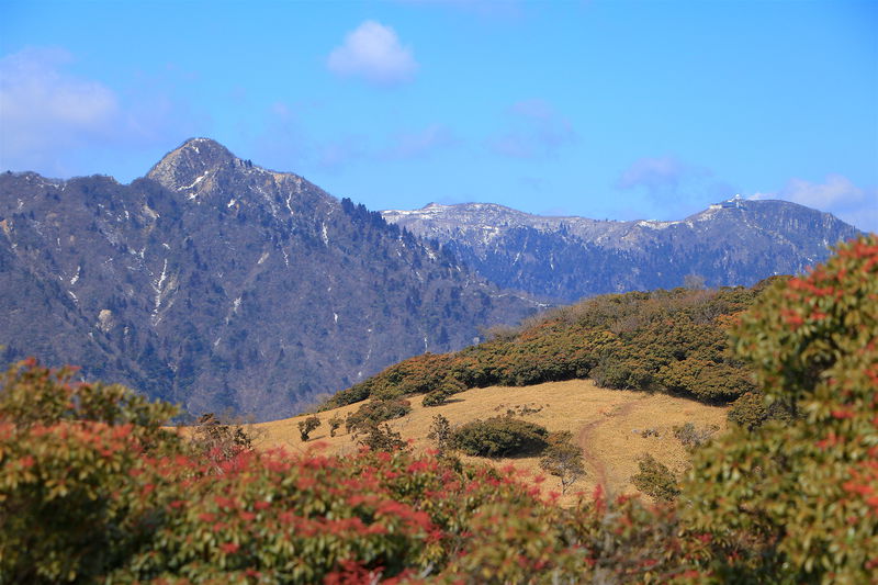 山頂には天空の鳥居も！鈴鹿「入道ヶ岳」へパノラマ登山 | 三重県 ...
