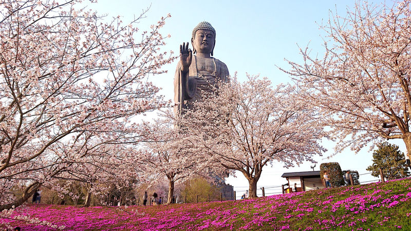 世界一の大仏様！茨城「牛久大仏」胎内拝観で神秘の空間へ | 茨城県