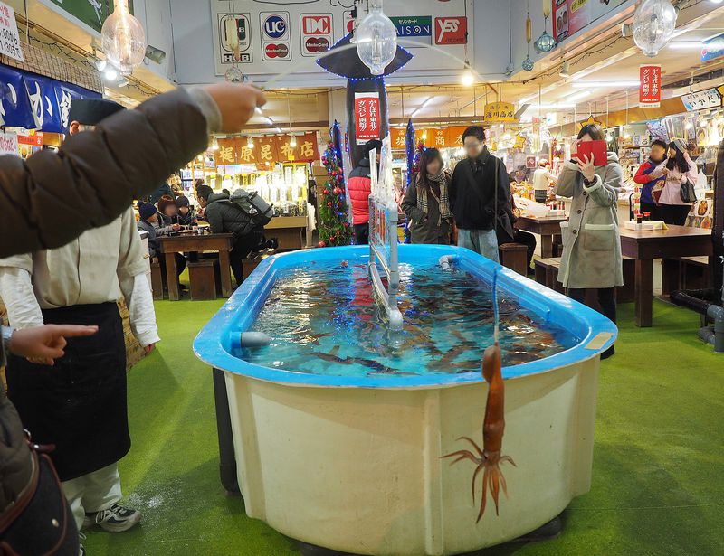 函館朝市のイカした体験型エンターテイメント 活いか釣り が超面白い 北海道 Lineトラベルjp 旅行ガイド