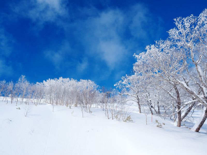 雲海テラスが冬だけ 霧氷テラス に 北海道トマムの霧氷でできた美しい冬景色 北海道 Lineトラベルjp 旅行ガイド