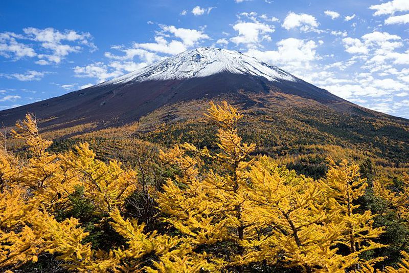 えも言われぬ美しさ 黄金色に染まる富士山の御庭 奥庭 山梨県 Lineトラベルjp 旅行ガイド