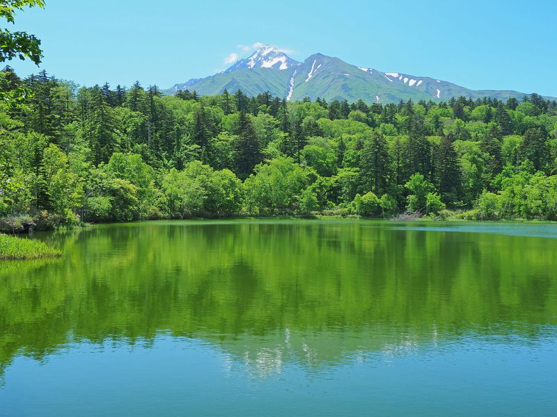 絶景 逆さ富士 や高山植物も 利尻島 姫沼 は初夏がおすすめ 北海道 Lineトラベルjp 旅行ガイド