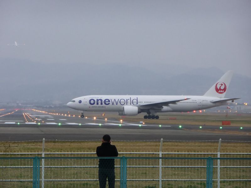 飛行機に手が届きそう 大阪国際空港 迫力満点の着陸スポットは土手 大阪府 Lineトラベルjp 旅行ガイド