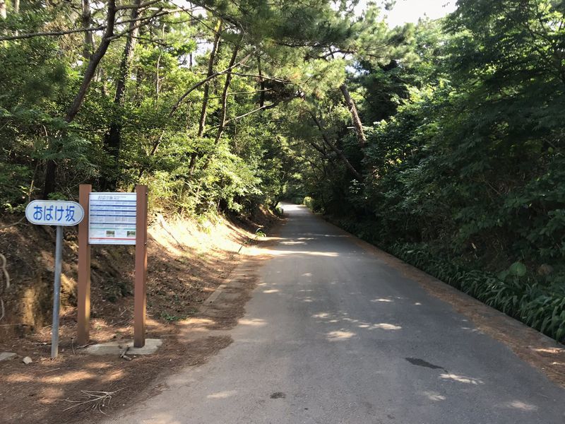 車が勝手に坂道を登る 久米島 おばけ坂 のミステリーを体験しよう 沖縄県 Lineトラベルjp 旅行ガイド