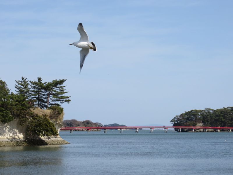 仙台から日本三景 松島へ 名所もグルメも味わう１日旅 宮城県 Lineトラベルjp 旅行ガイド