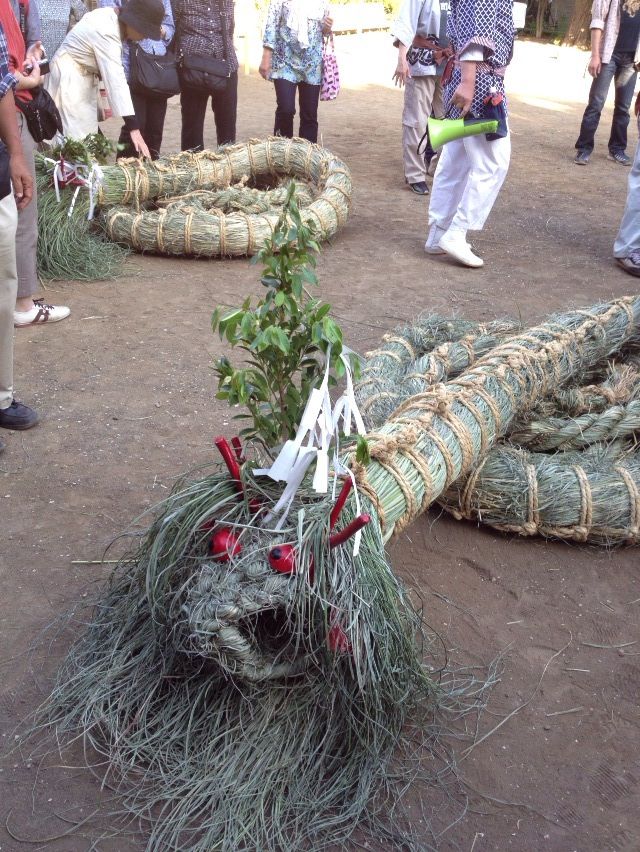 奇祭 全長２０ｍの蛇体が町を練り歩く 横浜市 蛇も蚊も祭り 神奈川県 Lineトラベルjp 旅行ガイド