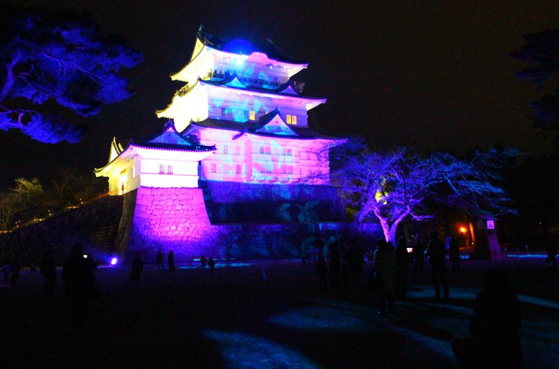 初開催 夜を彩る 小田原城 冬桜イルミネーション 神奈川県 Lineトラベルjp 旅行ガイド