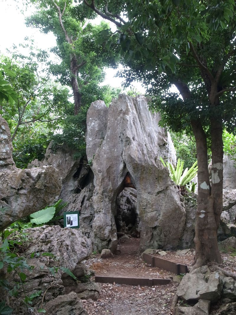 沖縄本島最北 亜熱帯の森と奇岩のパワースポット 大石林山 沖縄県 Lineトラベルjp 旅行ガイド