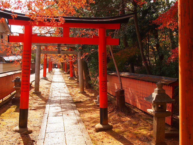 美しい紅葉と鳥居が続く 京都 吉田山 竹中稲荷社 京都府 Lineトラベルjp 旅行ガイド