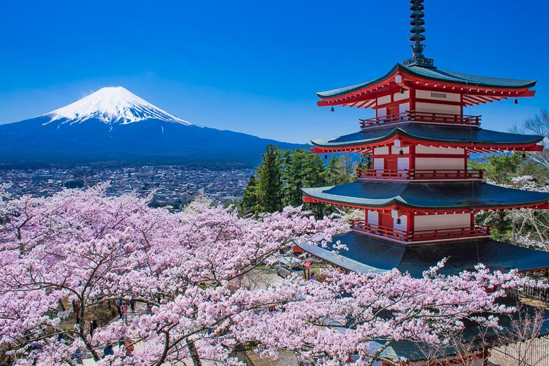 これぞ日本！新倉山浅間公園で見る桜・忠霊塔・富士山の大絶景！  山梨県  トラベルjp 旅行ガイド