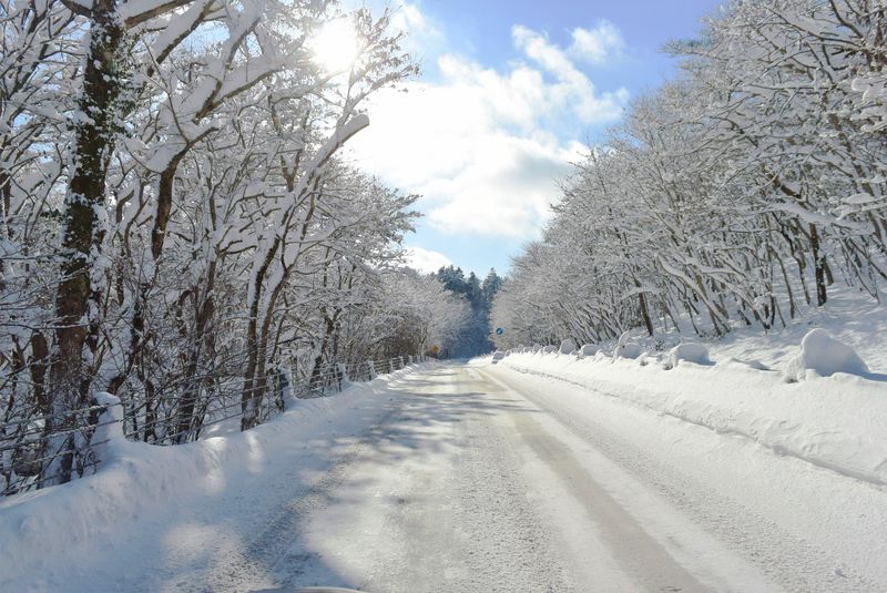 アナ雪 の世界みたいな 霧氷ロード 道道16号 支笏湖への道が美しい 北海道 Lineトラベルjp 旅行ガイド