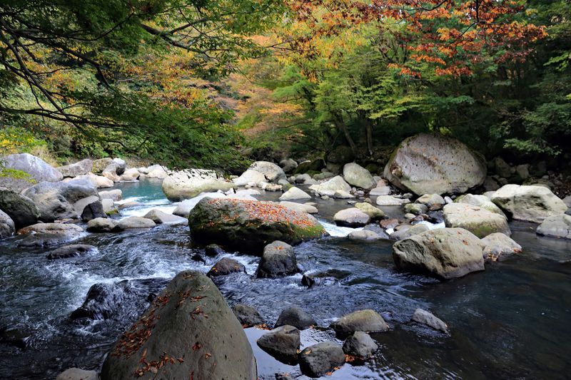 こんなところに幽谷の秘境 1時間で巡る箱根堂ヶ島渓谷 神奈川県 Lineトラベルjp 旅行ガイド