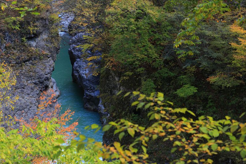 沈みゆく運命 名勝 群馬県吾妻峡の秋の彩 群馬県 Lineトラベルjp 旅行ガイド