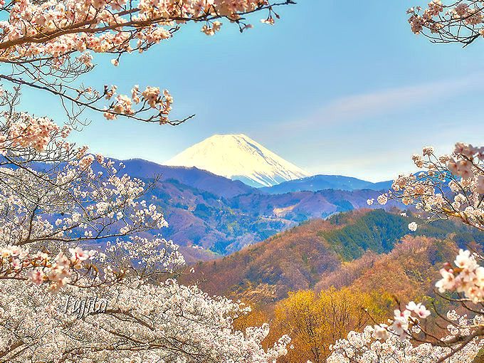 桜と富士山のコラボが絶景 山梨 大法師公園 は八ヶ岳も一望の花見名所 山梨県 Lineトラベルjp 旅行ガイド