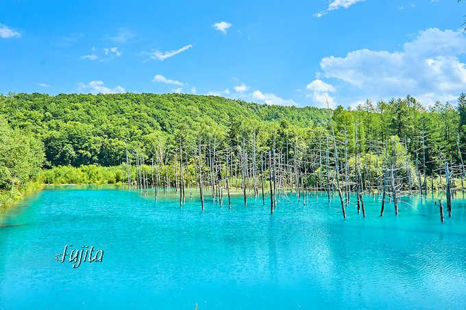 美瑛 青い池 おすすめ時間帯は午後一番 夏も紅葉も絶景 北海道 Lineトラベルjp 旅行ガイド