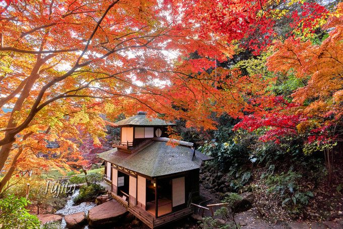 三溪園の紅葉は伝統建築とコラボ 横浜で京都気分の紅葉狩り 神奈川県 Lineトラベルjp 旅行ガイド