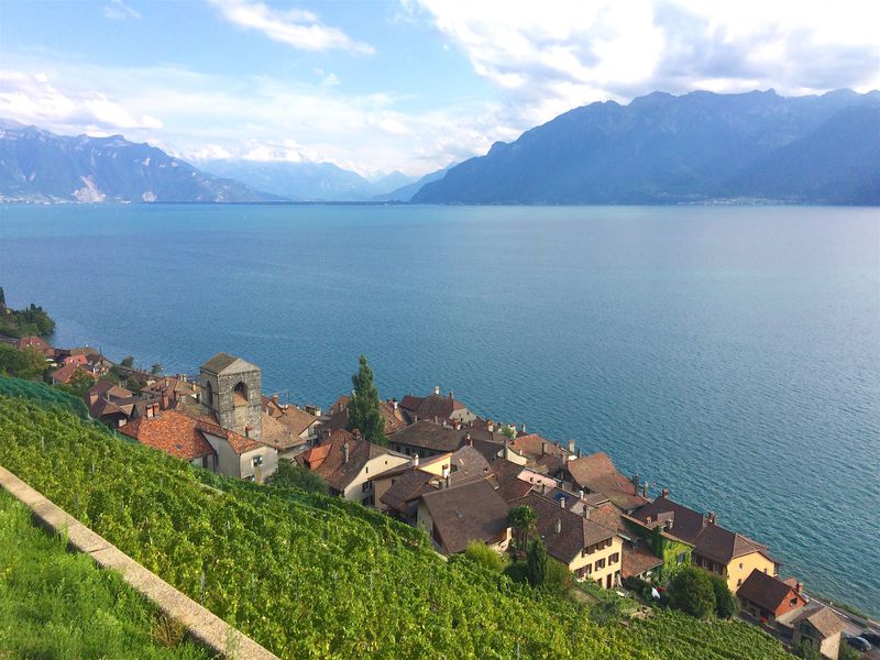 世界遺産 スイス レマン湖沿い ラヴォーのワイン畑 スイス Lineトラベルjp 旅行ガイド
