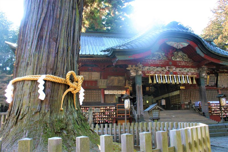 日本最強の恋愛パワースポット 北口本宮冨士浅間神社 は婚活女子に人気 山梨県 Lineトラベルjp 旅行ガイド