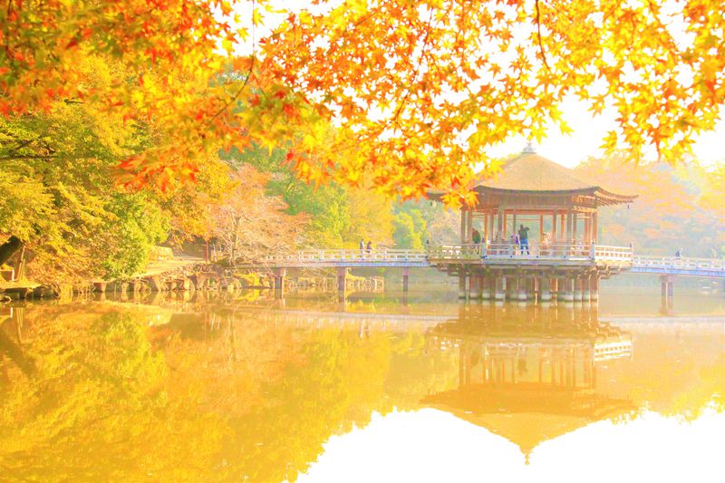 秋の奈良観光 紅葉名所 穴場スポット 紅葉時期 見頃は 奈良県 Lineトラベルjp 旅行ガイド
