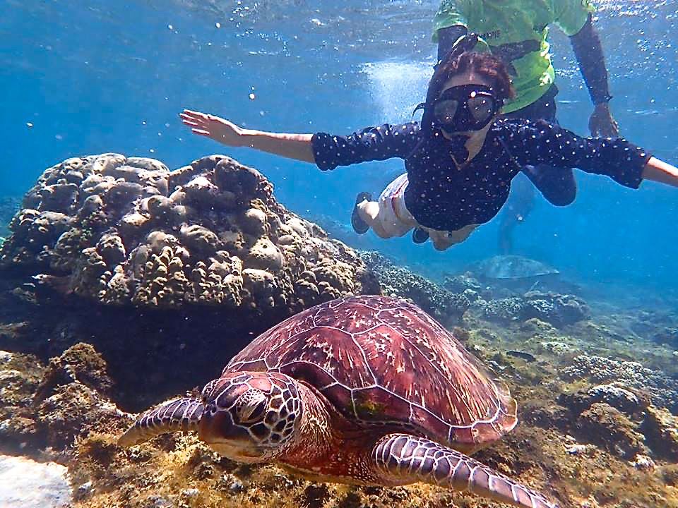野生のウミガメと一緒に泳げるフィリピンの秘島 アポ島 フィリピン Lineトラベルjp 旅行ガイド