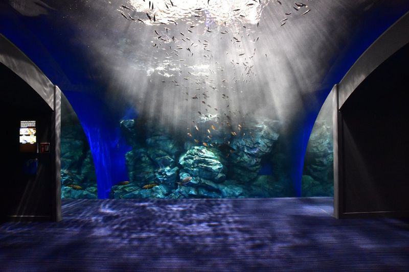 福岡で雨が降った時に行きたい おすすめ観光スポット10選 Lineトラベルjp 旅行ガイド