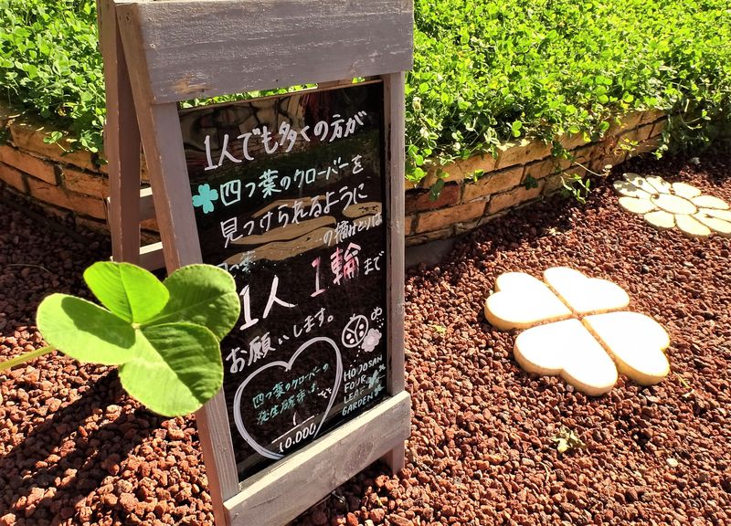 必ず見つかる 四葉のクローバー 長瀞 宝登山 Four Leaf Garden 埼玉県 Lineトラベルjp 旅行ガイド