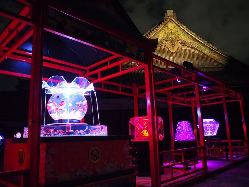 アートアクアリウム京都 二条城 の屋外展示がスゴイ 京都府 Lineトラベルjp 旅行ガイド