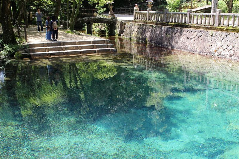 エメラルドグリーンの絶景 山口県美祢市 別府弁天池 が美しすぎる 山口県 Lineトラベルjp 旅行ガイド