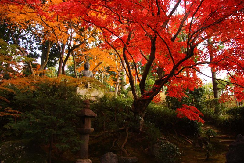 京都の無料で見られる紅葉の散歩道 金戒光明寺エリアのおススメスポット 京都府 Lineトラベルjp 旅行ガイド