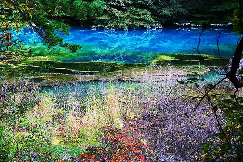 五色沼の絶景スポットはここ 福島県の裏磐梯 五色沼湖沼群 の散策ポイント 福島県 Lineトラベルjp 旅行ガイド