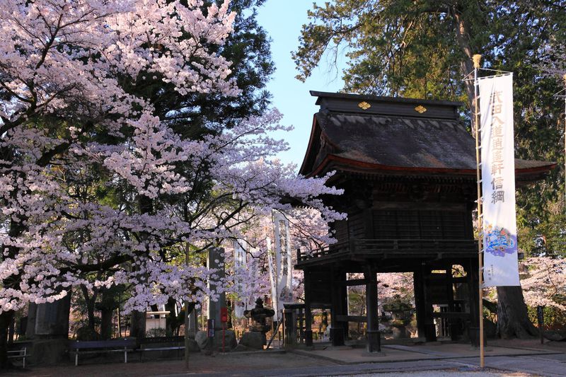 武田の菩提寺に咲く桜は甲斐の国の春の訪れ！山梨「恵林寺」 | 山梨県 