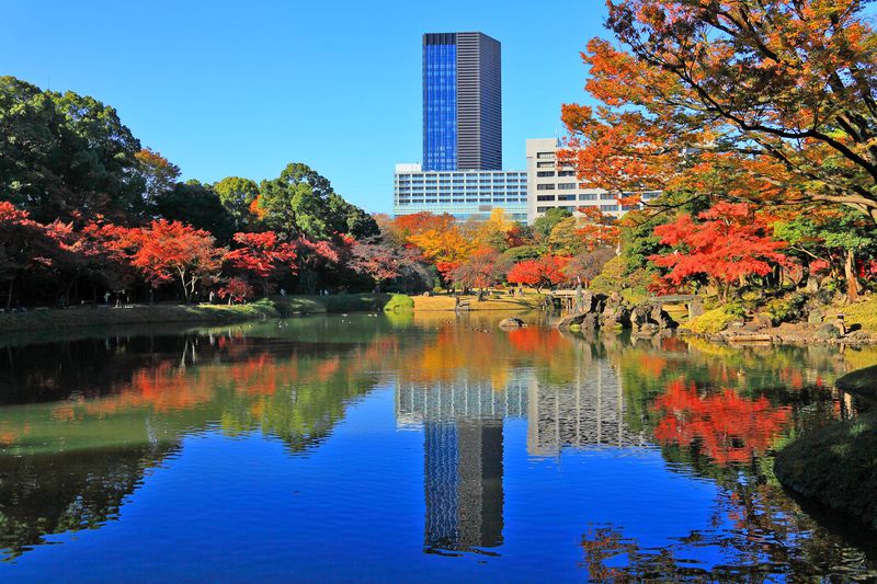 都心の真ん中で素晴らしい紅葉を拝もう 東京 小石川後楽園 東京都 Lineトラベルjp 旅行ガイド