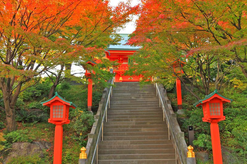 真っ赤な紅葉を見た後は開運上昇を願って 東京 穴八幡宮 東京都 Lineトラベルjp 旅行ガイド