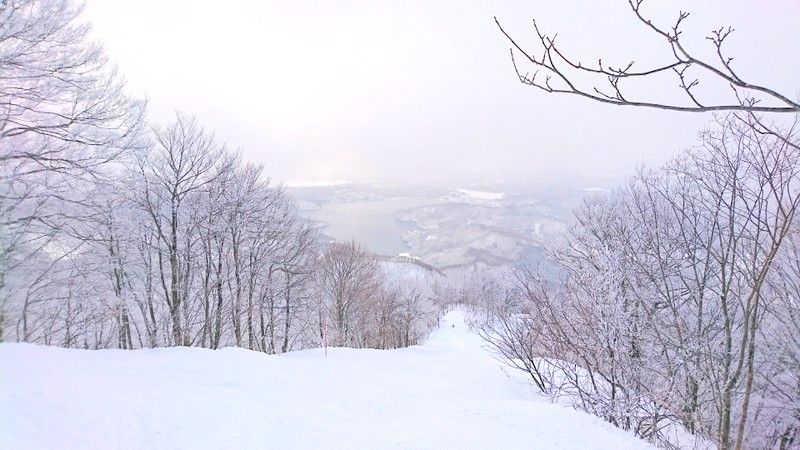 リフト券が無料 格安になる 雪マジ 19 対象のおすすめスキー場10選 長野県 Lineトラベルjp 旅行ガイド