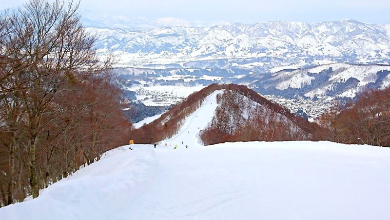 野沢 温泉 スキー 場