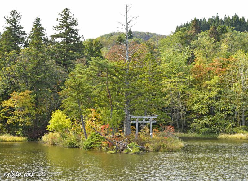 山形県 大沼の浮島 国指定名勝の小島が浮遊する神秘の沼 山形県 Lineトラベルjp 旅行ガイド