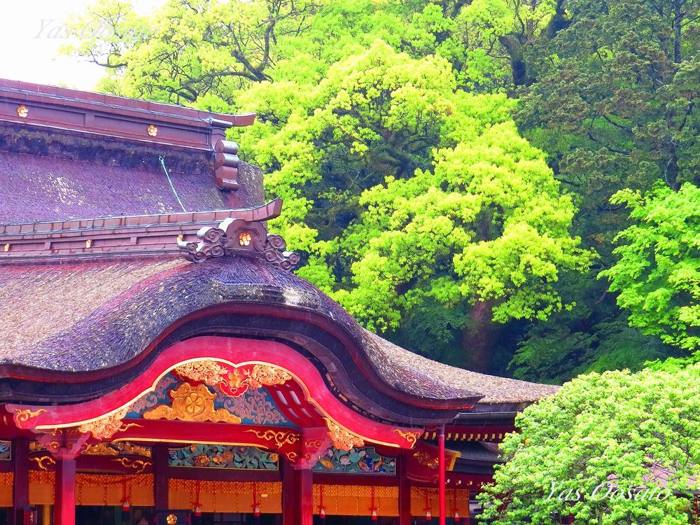 名物梅ケ枝餅も味わえる福岡 太宰府天満宮で合格と厄除け祈願 福岡県 Lineトラベルjp 旅行ガイド