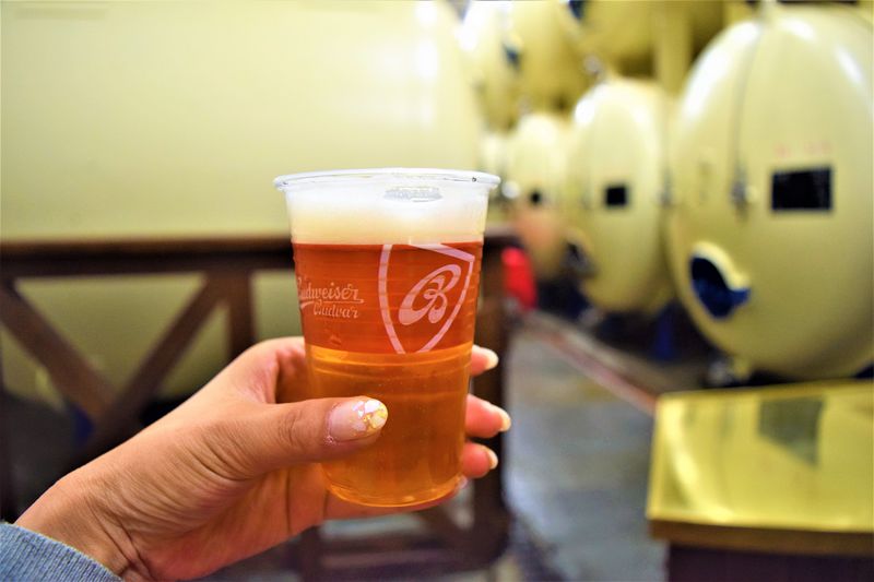 本物のバドワイザーはチェコに ビール好きはブドヴァイゼル工場へ チェコ Lineトラベルjp 旅行ガイド