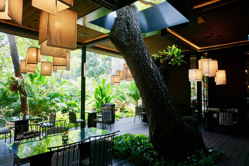 バンコクのおしゃれな一軒家レストラン スピリット ジムトンプソン タイ Lineトラベルjp 旅行ガイド