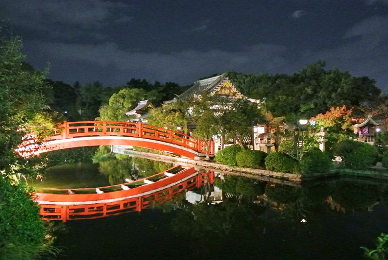 無料で京都を感じられるパワースポット庭園 神泉苑 が凄い 京都府 Lineトラベルjp 旅行ガイド