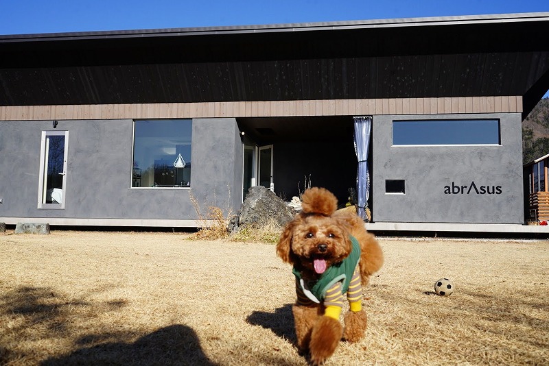 愛犬と泊まりたい憧れの宿「アブラサスホテル富士河口湖」 | 山梨県