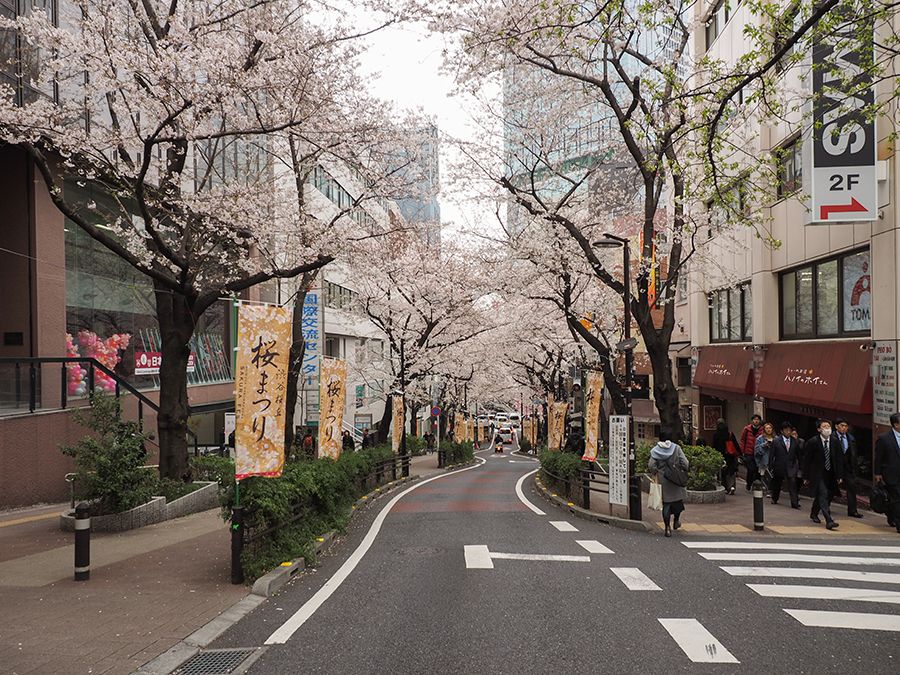 渋谷駅前にも桜スポットあり 渋谷桜丘のさくら坂と界隈坂道めぐり 東京都 Lineトラベルjp 旅行ガイド