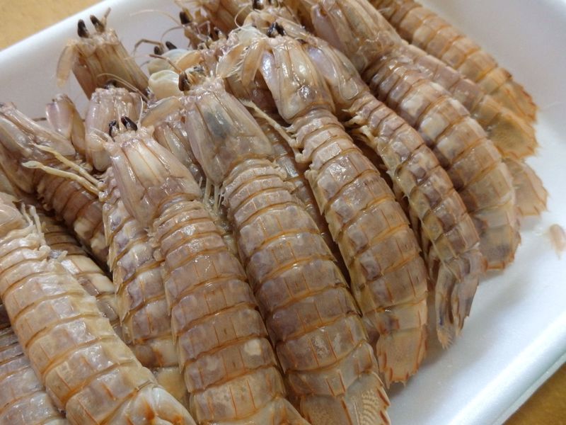 瀬戸内きっての食材 シャコをめぐる岡山県笠岡市グルメ旅 岡山県 Lineトラベルjp 旅行ガイド