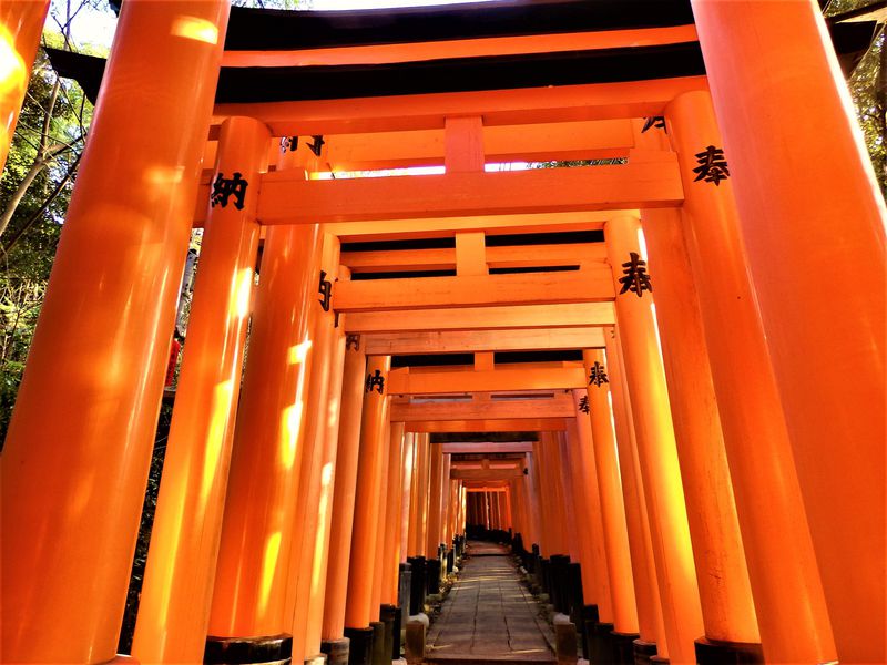 神社 伏見 稲荷