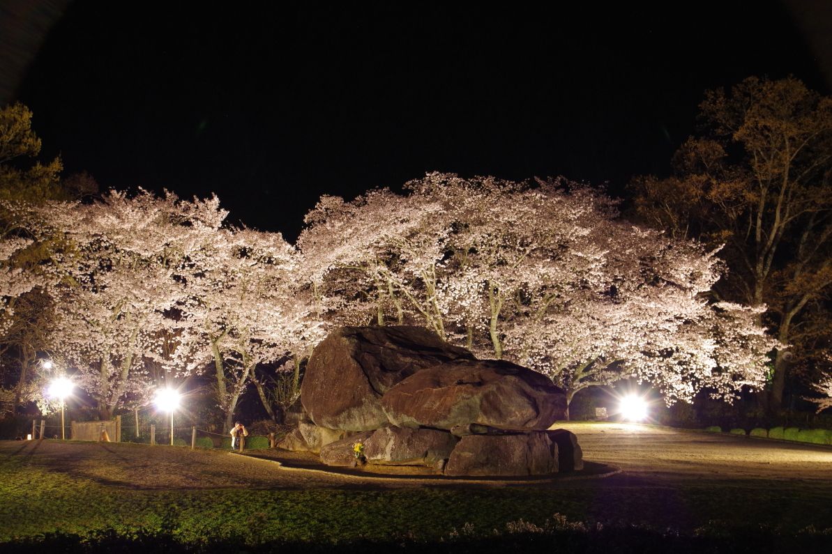 夜桜ライトアップは幽玄の世界 奈良 明日香 石舞台古墳 でお花見 奈良県 Lineトラベルjp 旅行ガイド