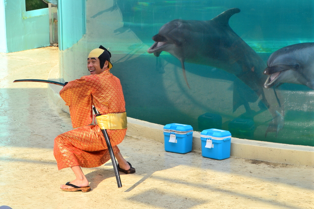 香川県 新屋島水族館の イルカ劇ライブ が面白すぎる 香川県 Lineトラベルjp 旅行ガイド