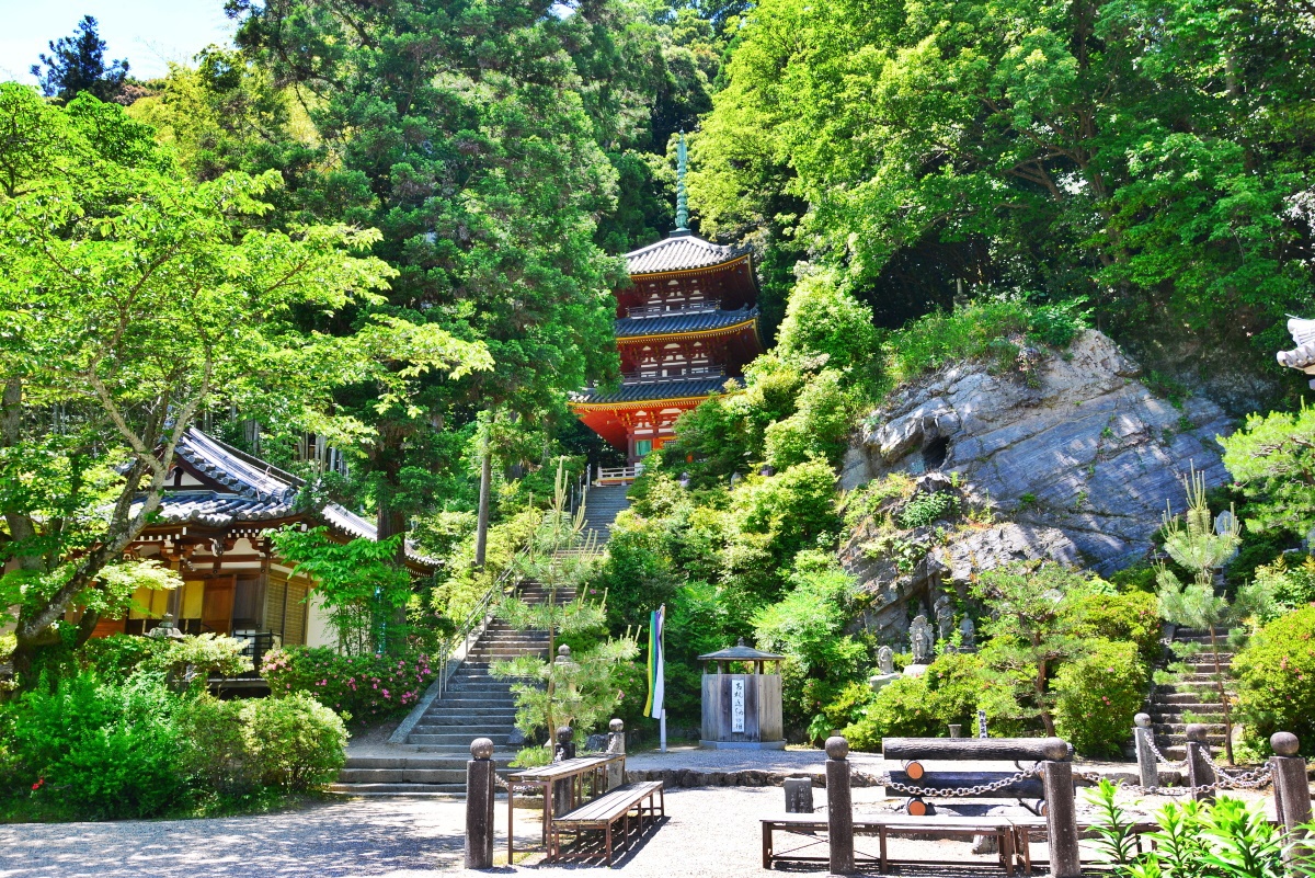 奈良県の厄除け霊場 大和松尾寺 で咲き誇る500株の バラ 奈良県 Lineトラベルjp 旅行ガイド